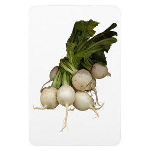 Ímã Turnips Photo Magnet