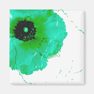 Imã turquesa vibrante e ranúculo branco