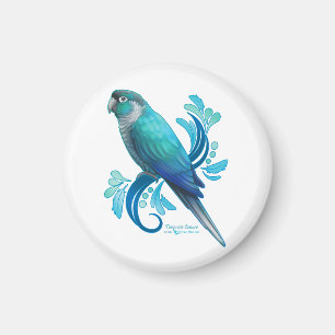 Imã Turquoise Conure