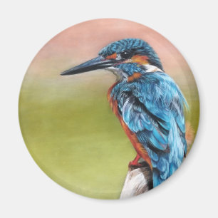 Imã Turquoise Morning Kingfisher Bird