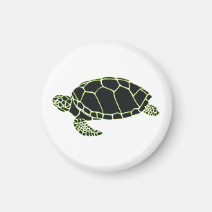 Imã Turtle