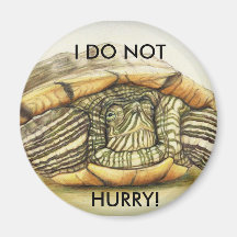 Turtle I Do Not Hurry Magnet
