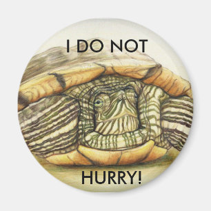 Imã Turtle I Do Not Hurry Magnet