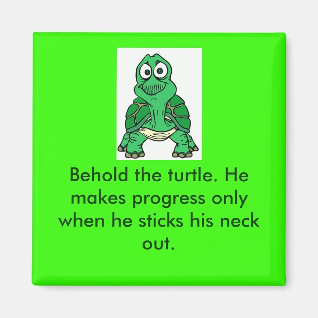 Imã Turtle Truth (Frente)