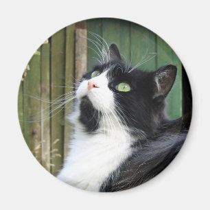 Imã Tux - ímã redondo da polegada de 2 ¼