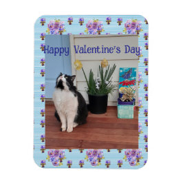 Ímã Tuxedo Cat Funny Cute Cats Valentines Day Blue