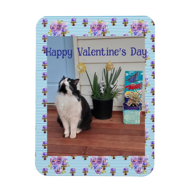 Ímã Tuxedo Cat Funny Cute Cats Valentines Day Blue (Vertical)