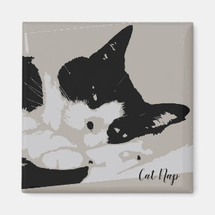Imã Tuxedo Cat Nap