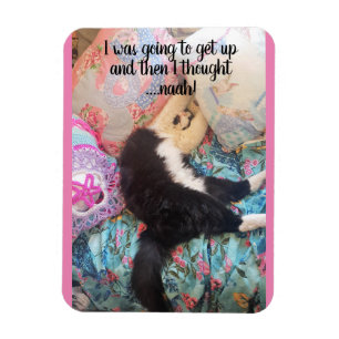 Ímã Tuxedo Gato Dormindo Engraçado Dizendo Magnet