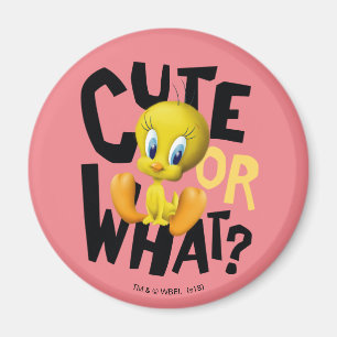 Imã TWEETY™ - Bonito Ou O Quê?