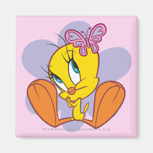 Imã Tweety e borboleta