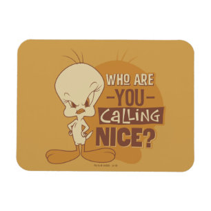 Ímã TWEETY™ - Quem Você Está Chamando de Bonzinho?