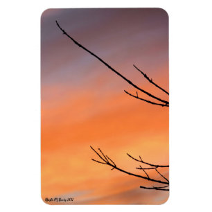 Ímã Twigs com Laranja, Vermelho, Púrpura Sunset