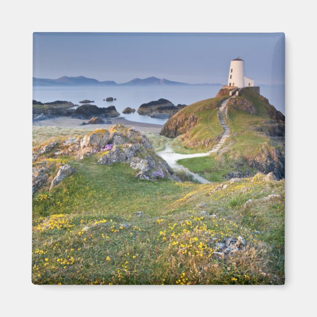 Imã Twr Mawr Lighthouse Na Ilha Llanddwyn (Frente)