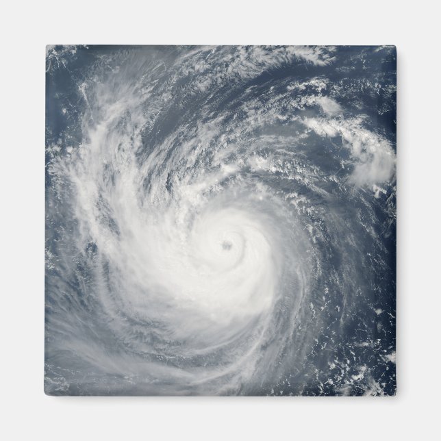 Imã Typhoon Taim (Frente)