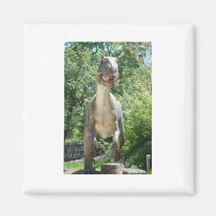 Imã Tyrannosaurus Rex Dinosaur