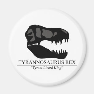 Imã Tyrannosaurus Rex Skull