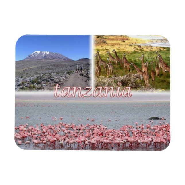 Ímã TZ Tanzânia - (Horizontal)