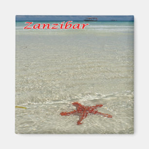 Imã TZ - Tanzânia - Zanzibar - Starfish Nervoso