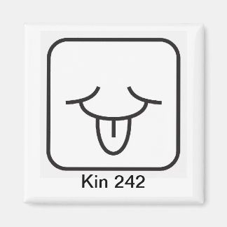 Imã Tzolkin Vento Branco Kin 242