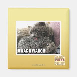 IMÃ U TEM UM SABOR