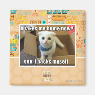 Imã U toma-me home agora?