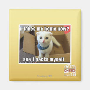 Imã U toma-me home agora?