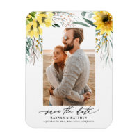 Ucalyptus rusticus caem lata de girassol