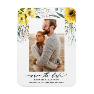 Ímã Ucalyptus rusticus caem lata de girassol