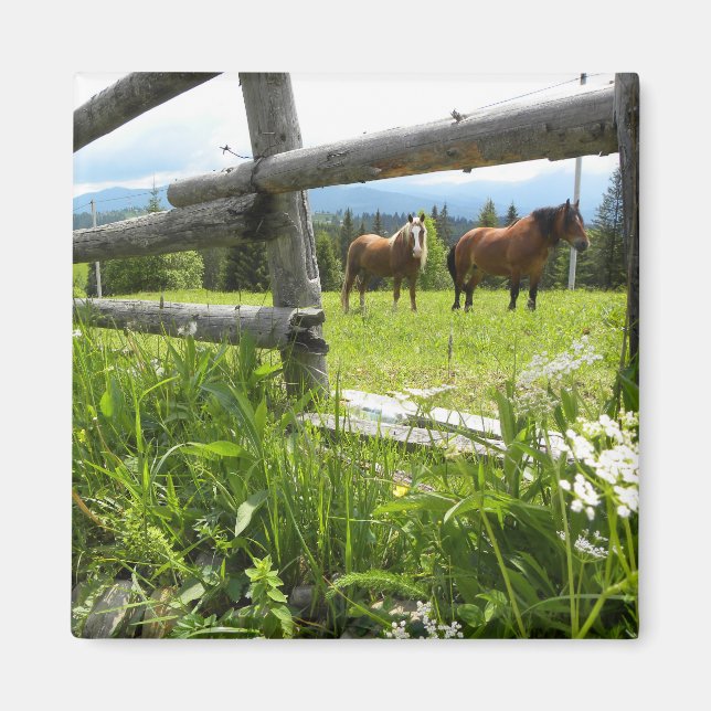 Imã Ucrânia: nas montanhas dos Cárpatos (Frente)