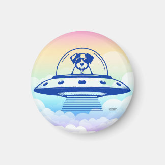 IMÃ UFO PETS