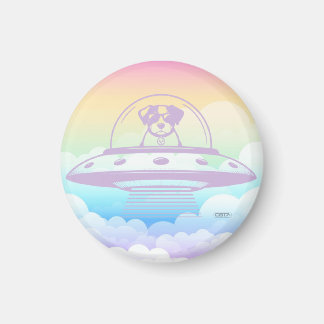 IMÃ UFO PETS