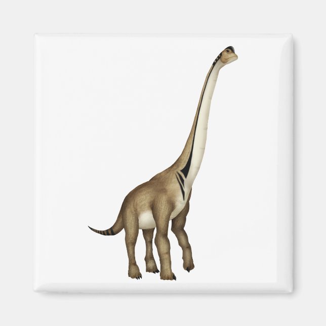 Imã Ultrassauro (Frente)