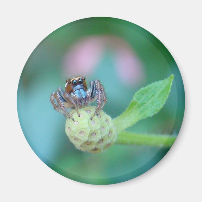 Imã Um Amigo Do Jardim! (Frente)