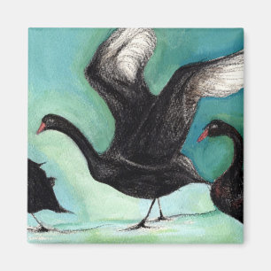 Imã Um balé das cisnes pretas 2013