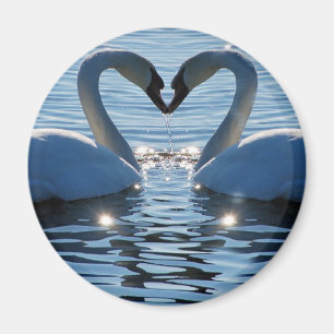 Imã Um beijo do coração da cisne, reflexões do amor