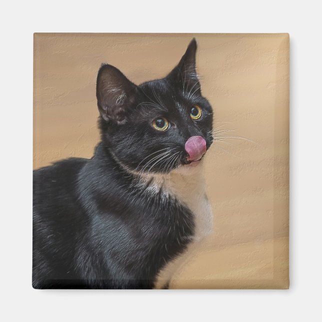 Imã Um Bom Lick Painterly (Frente)