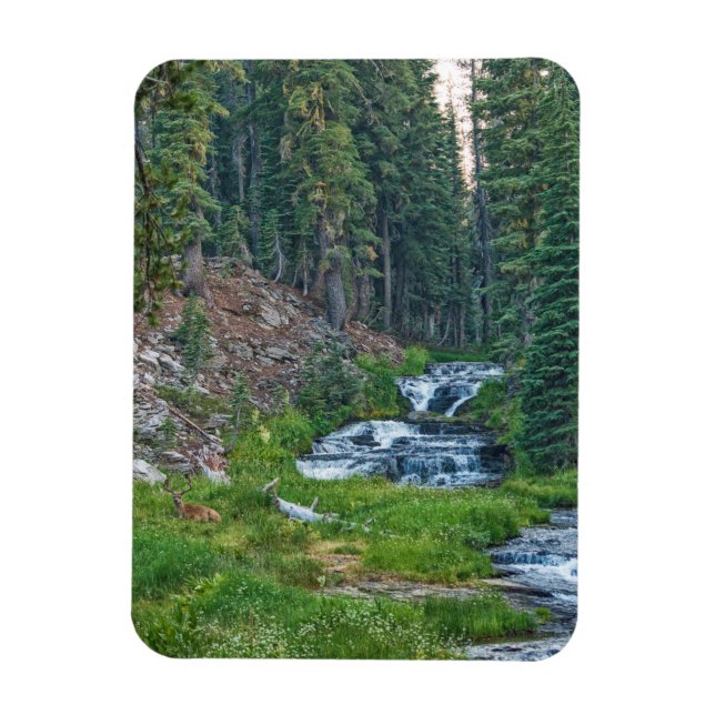 Ímã Um Buck Rest em um rio em cascata (Vertical)