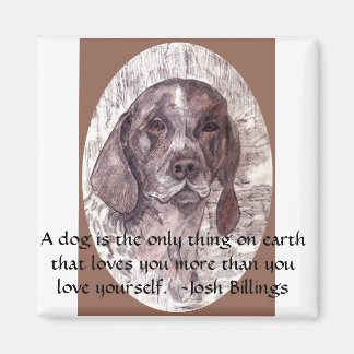 Imã Um Cachorro É Magnético 2