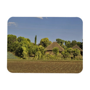 Ímã Um campo agrícola em frente a casas com telhado de