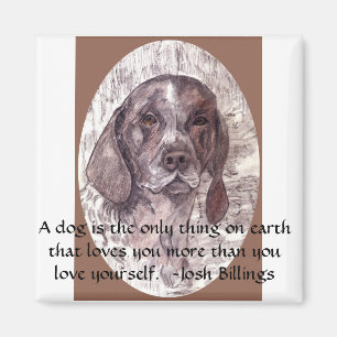 Imã Um cão é o ímã 2