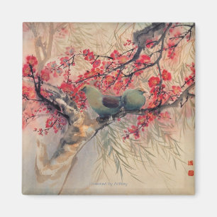 Imã Um Casal no Primavera