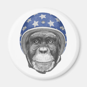 Imã Um cavaleiro da motocicleta do chimpanzé