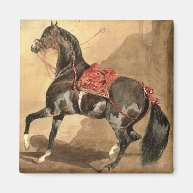 Imã Um Cavalo Árabe (c/c) estabelecido no papel (Frente)