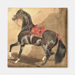 Imã Um cavalo árabe (estabelecido w/c no papel)