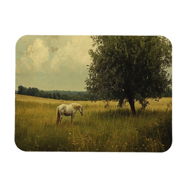 Ímã Um Cavalo Branco Pastando Em Um Campo (Horizontal)