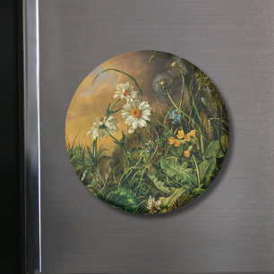 Imã Um chão de floresta com margaridas, primroses, ...