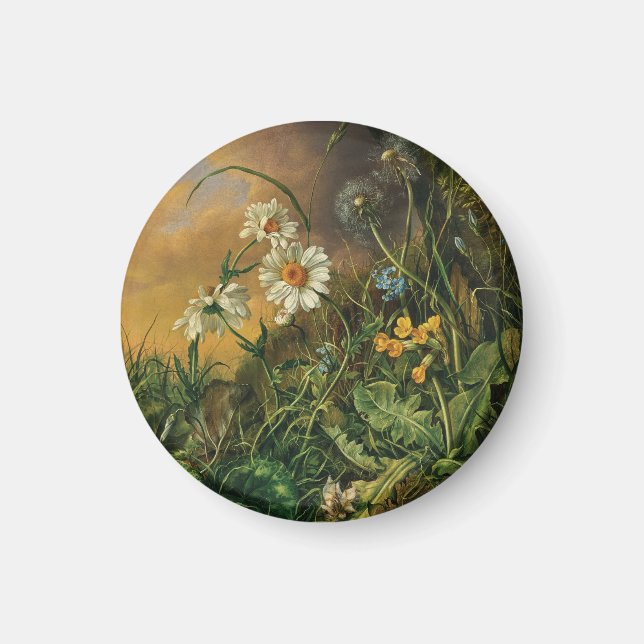 Imã Um chão de floresta com margaridas, primroses, ... (Frente)