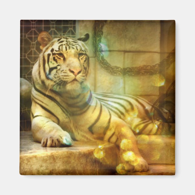 Imã Um Coração em Descanso (Frente)