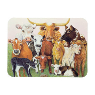 Ímã Um desconhecido de surpresa